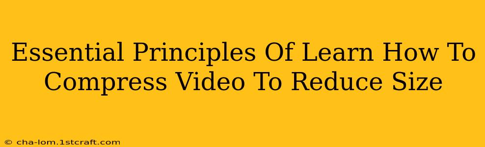 Essential Principles Of Learn How To Compress Video To Reduce Size