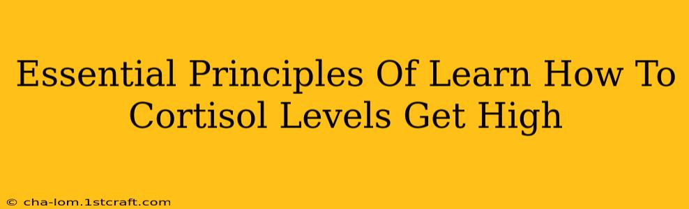 Essential Principles Of Learn How To Cortisol Levels Get High