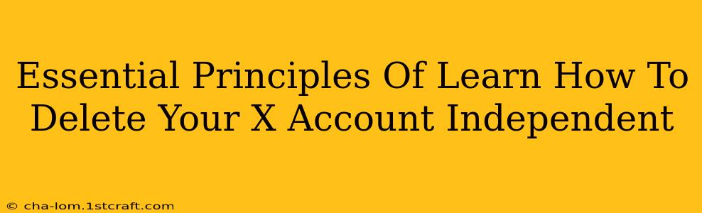 Essential Principles Of Learn How To Delete Your X Account Independent