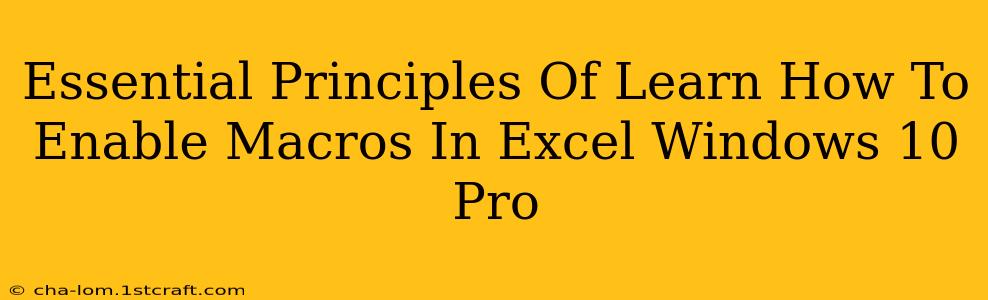 Essential Principles Of Learn How To Enable Macros In Excel Windows 10 Pro