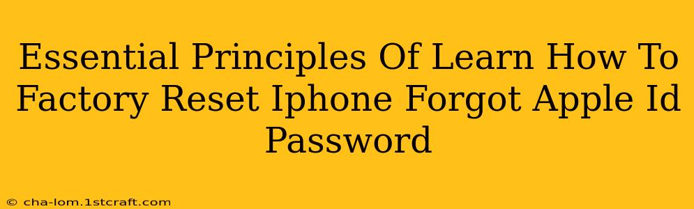 Essential Principles Of Learn How To Factory Reset Iphone Forgot Apple Id Password