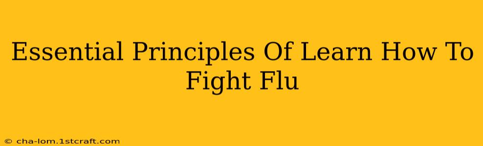 Essential Principles Of Learn How To Fight Flu