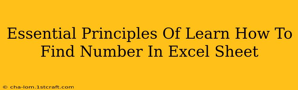 Essential Principles Of Learn How To Find Number In Excel Sheet