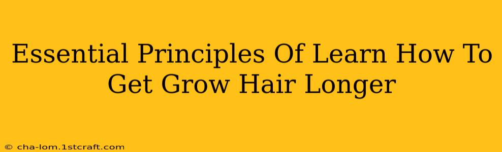 Essential Principles Of Learn How To Get Grow Hair Longer