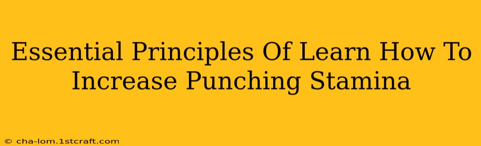 Essential Principles Of Learn How To Increase Punching Stamina