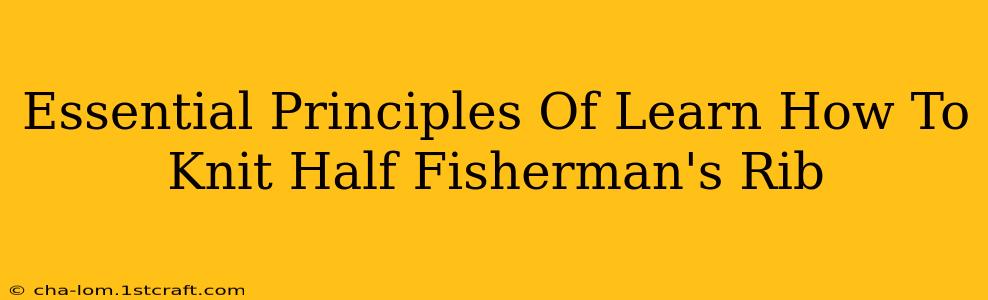 Essential Principles Of Learn How To Knit Half Fisherman's Rib