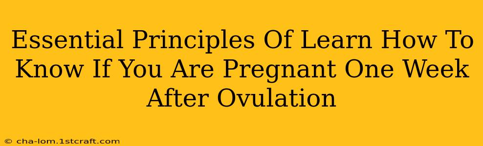 Essential Principles Of Learn How To Know If You Are Pregnant One Week After Ovulation