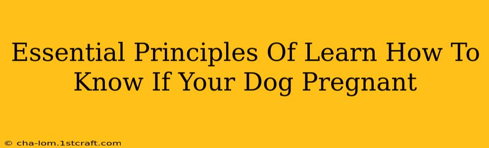 Essential Principles Of Learn How To Know If Your Dog Pregnant