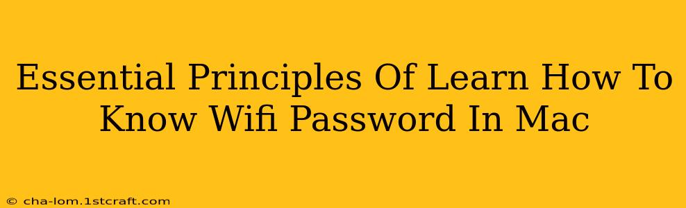 Essential Principles Of Learn How To Know Wifi Password In Mac