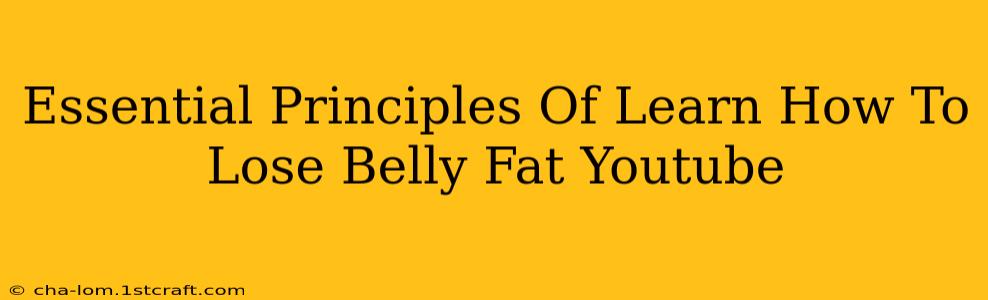 Essential Principles Of Learn How To Lose Belly Fat Youtube