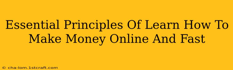 Essential Principles Of Learn How To Make Money Online And Fast