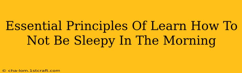 Essential Principles Of Learn How To Not Be Sleepy In The Morning