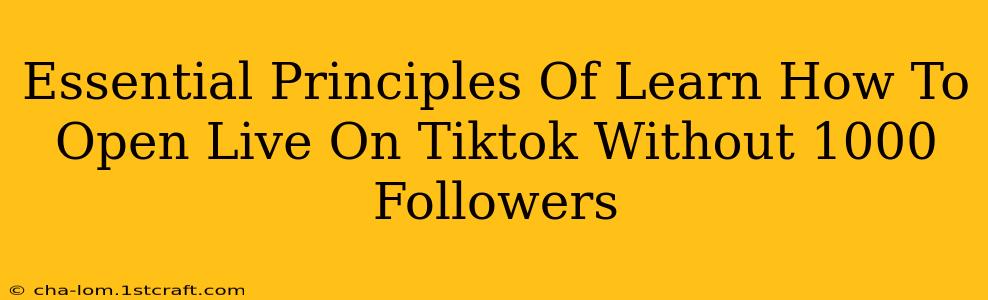 Essential Principles Of Learn How To Open Live On Tiktok Without 1000 Followers