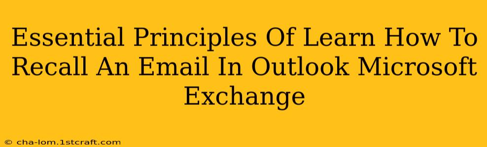 Essential Principles Of Learn How To Recall An Email In Outlook Microsoft Exchange