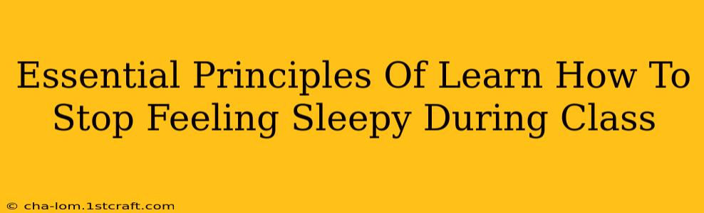 Essential Principles Of Learn How To Stop Feeling Sleepy During Class