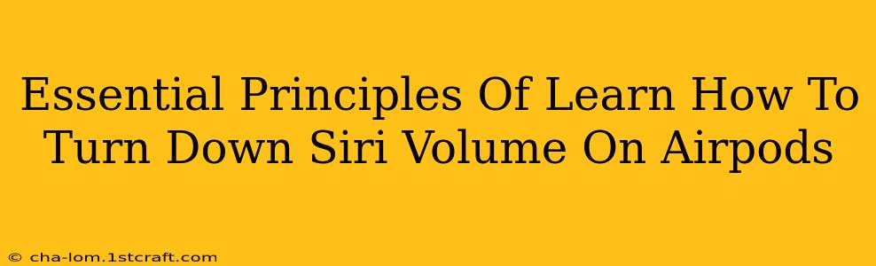 Essential Principles Of Learn How To Turn Down Siri Volume On Airpods