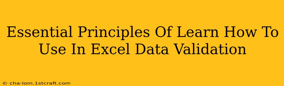 Essential Principles Of Learn How To Use In Excel Data Validation