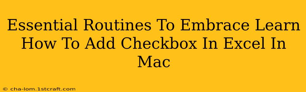 Essential Routines To Embrace Learn How To Add Checkbox In Excel In Mac