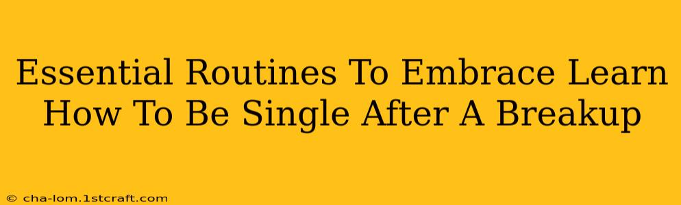 Essential Routines To Embrace Learn How To Be Single After A Breakup