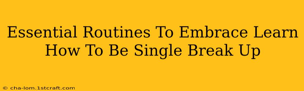 Essential Routines To Embrace Learn How To Be Single Break Up