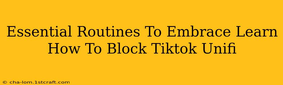 Essential Routines To Embrace Learn How To Block Tiktok Unifi