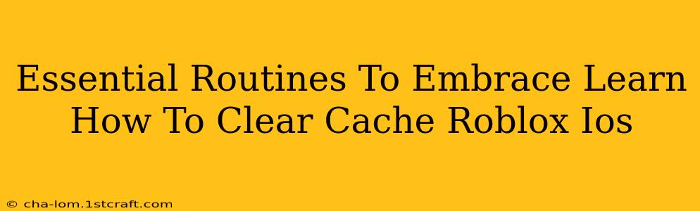 Essential Routines To Embrace Learn How To Clear Cache Roblox Ios