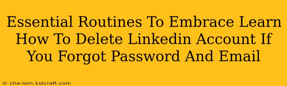 Essential Routines To Embrace Learn How To Delete Linkedin Account If You Forgot Password And Email