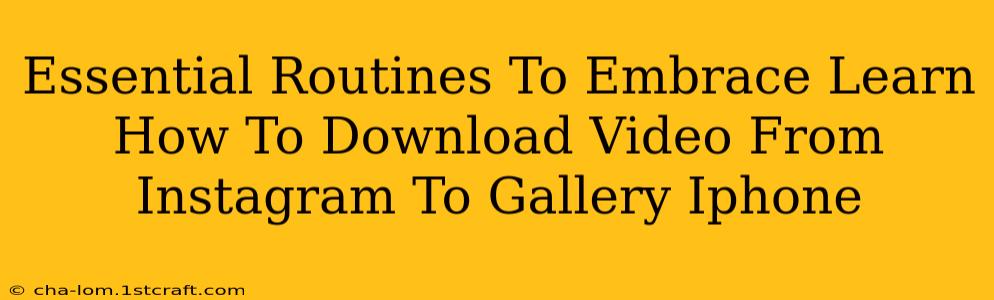 Essential Routines To Embrace Learn How To Download Video From Instagram To Gallery Iphone