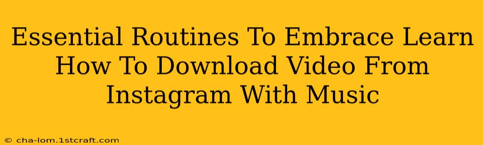 Essential Routines To Embrace Learn How To Download Video From Instagram With Music