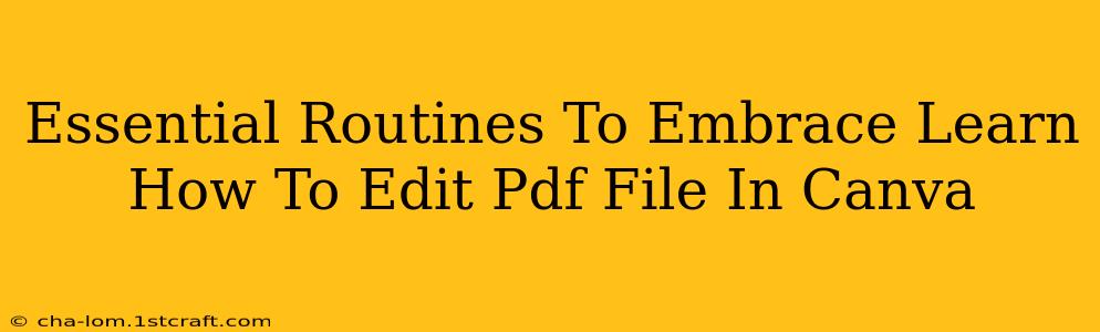 Essential Routines To Embrace Learn How To Edit Pdf File In Canva