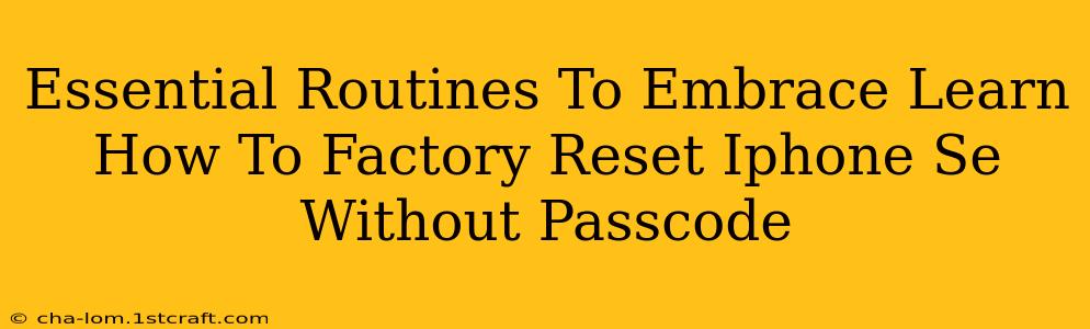 Essential Routines To Embrace Learn How To Factory Reset Iphone Se Without Passcode