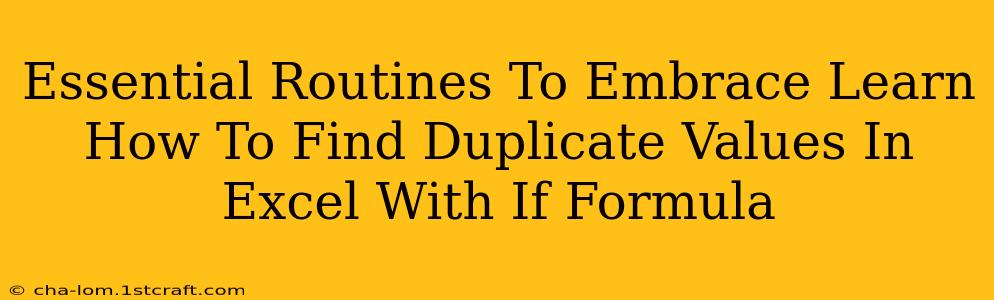 Essential Routines To Embrace Learn How To Find Duplicate Values In Excel With If Formula