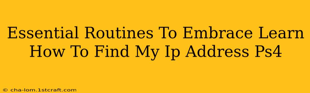 Essential Routines To Embrace Learn How To Find My Ip Address Ps4