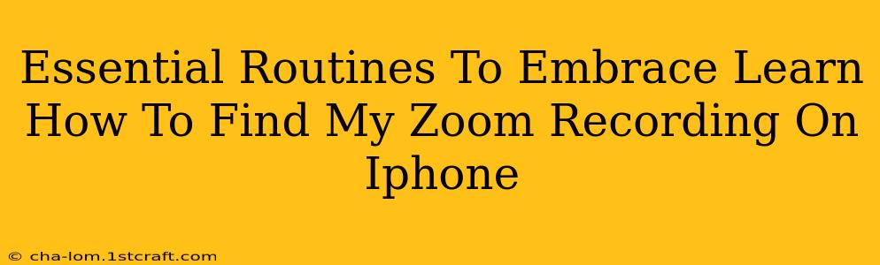 Essential Routines To Embrace Learn How To Find My Zoom Recording On Iphone