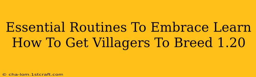 Essential Routines To Embrace Learn How To Get Villagers To Breed 1.20