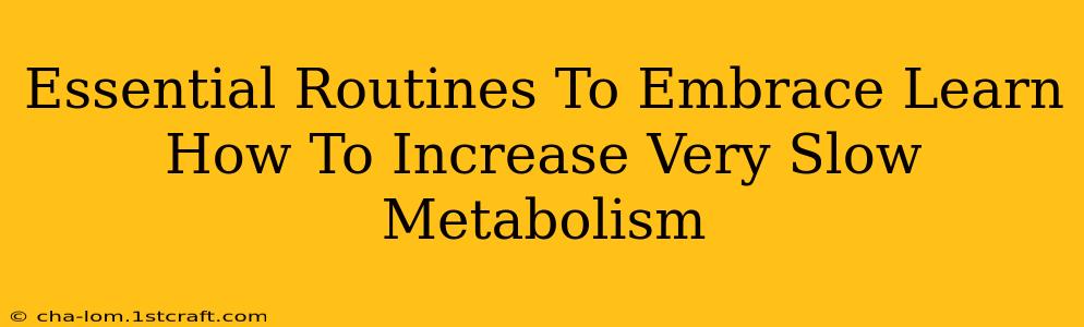 Essential Routines To Embrace Learn How To Increase Very Slow Metabolism