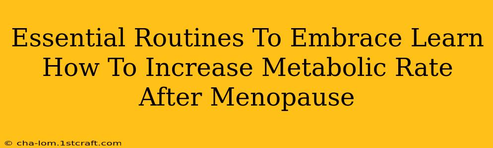 Essential Routines To Embrace Learn How To Increase Metabolic Rate After Menopause