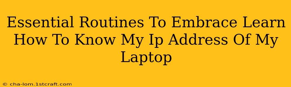 Essential Routines To Embrace Learn How To Know My Ip Address Of My Laptop