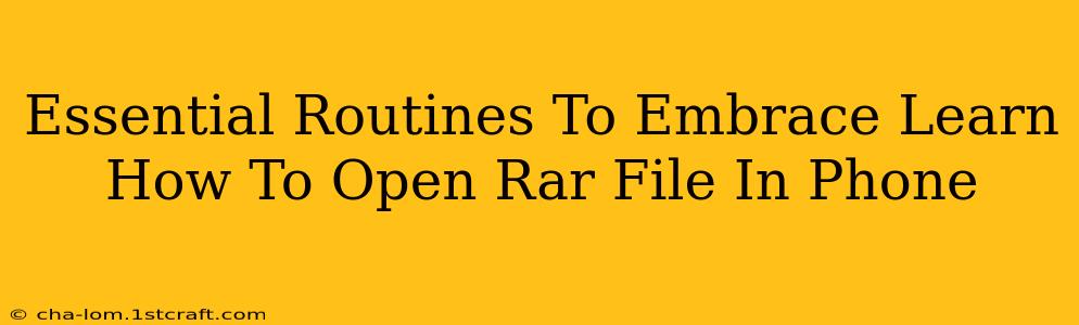 Essential Routines To Embrace Learn How To Open Rar File In Phone