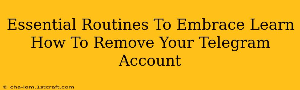 Essential Routines To Embrace Learn How To Remove Your Telegram Account