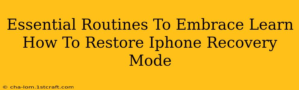 Essential Routines To Embrace Learn How To Restore Iphone Recovery Mode