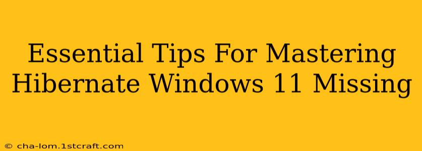 Essential Tips For Mastering Hibernate Windows 11 Missing