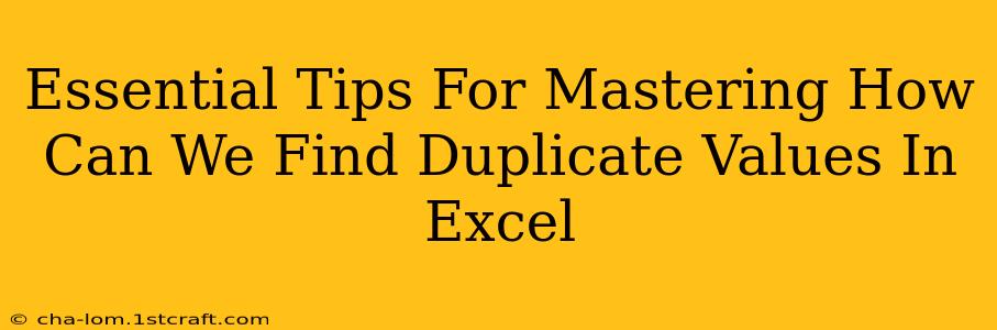 Essential Tips For Mastering How Can We Find Duplicate Values In Excel