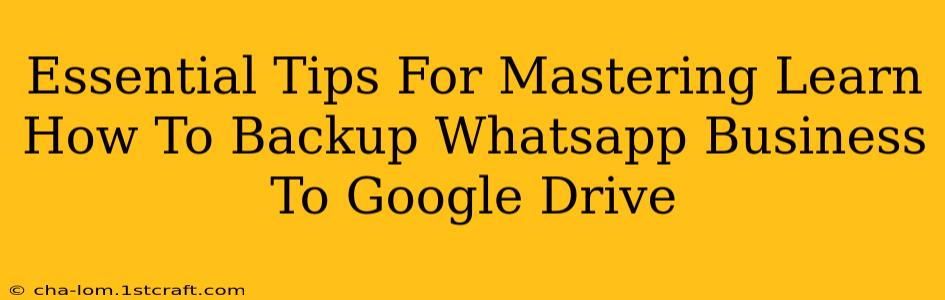 Essential Tips For Mastering Learn How To Backup Whatsapp Business To Google Drive