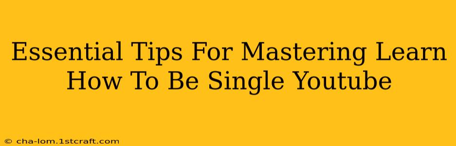 Essential Tips For Mastering Learn How To Be Single Youtube