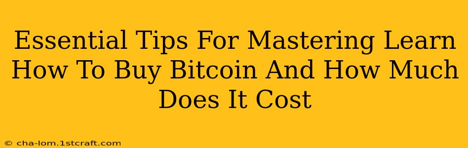 Essential Tips For Mastering Learn How To Buy Bitcoin And How Much Does It Cost