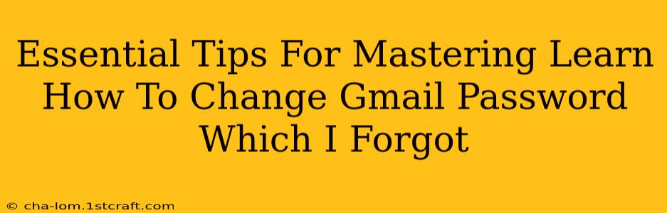 Essential Tips For Mastering Learn How To Change Gmail Password Which I Forgot