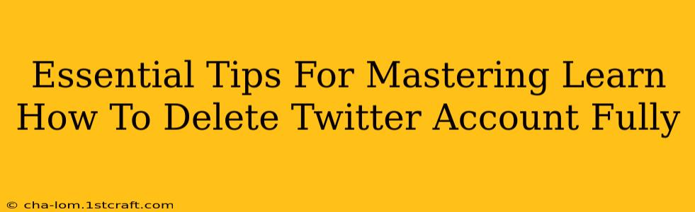 Essential Tips For Mastering Learn How To Delete Twitter Account Fully