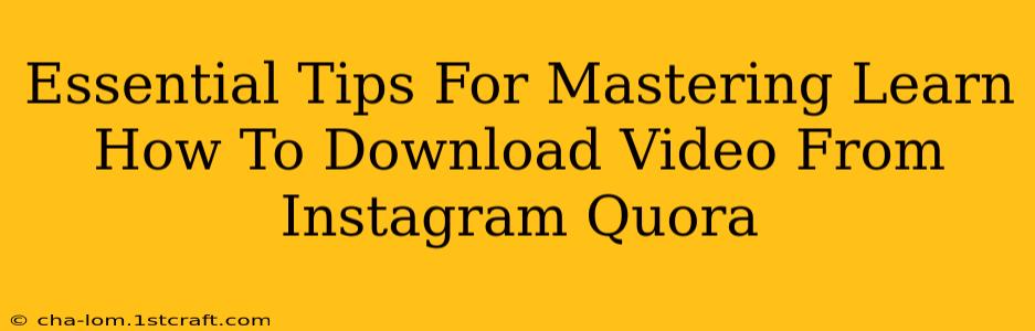 Essential Tips For Mastering Learn How To Download Video From Instagram Quora