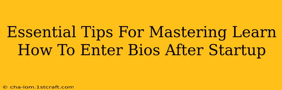 Essential Tips For Mastering Learn How To Enter Bios After Startup